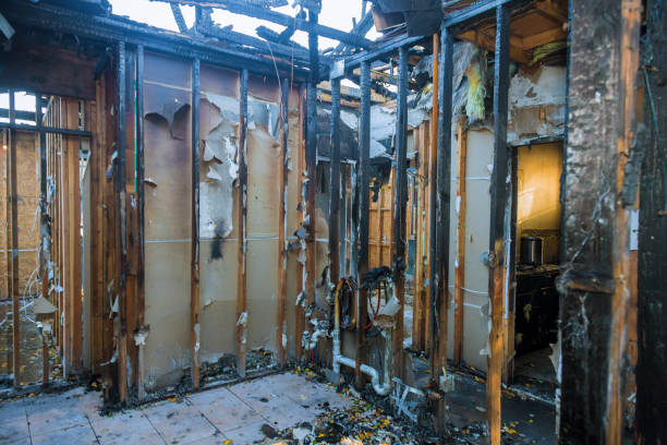 Professional Fire Damage Removal technician working in Newtown, OH