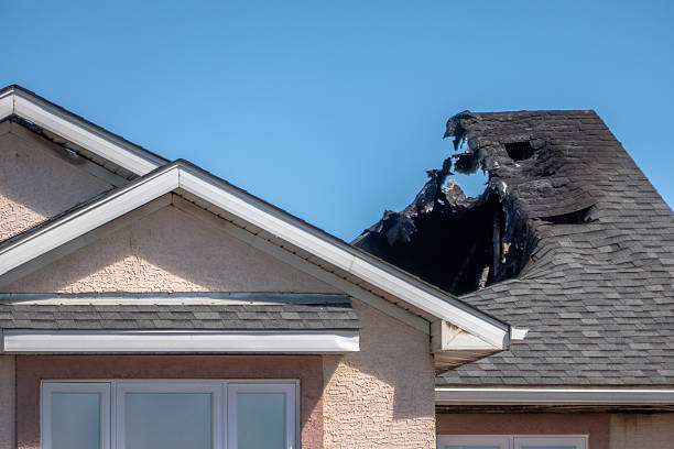 Top rated local Fire Damage Removal specialists in Newtown, OH